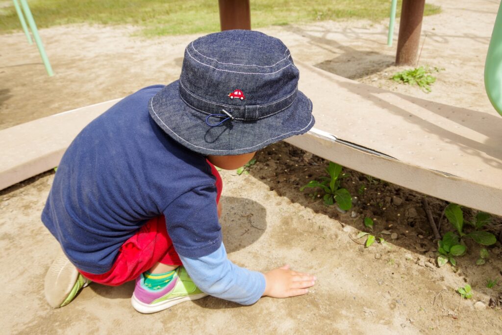 庭が蟻の巣だらけになる環境的な要因