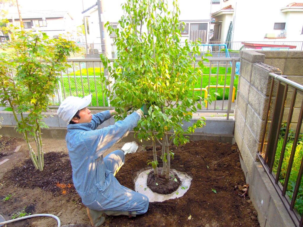 植えたばかりの植木は水やりが重要