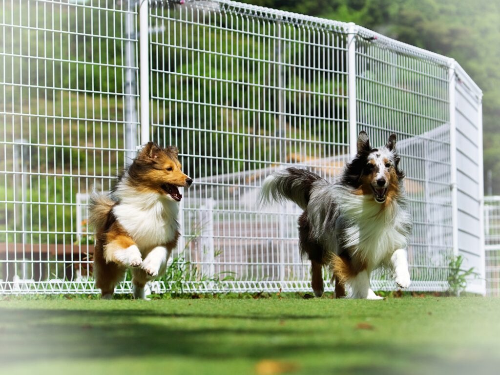 迷惑？近隣トラブルの対策