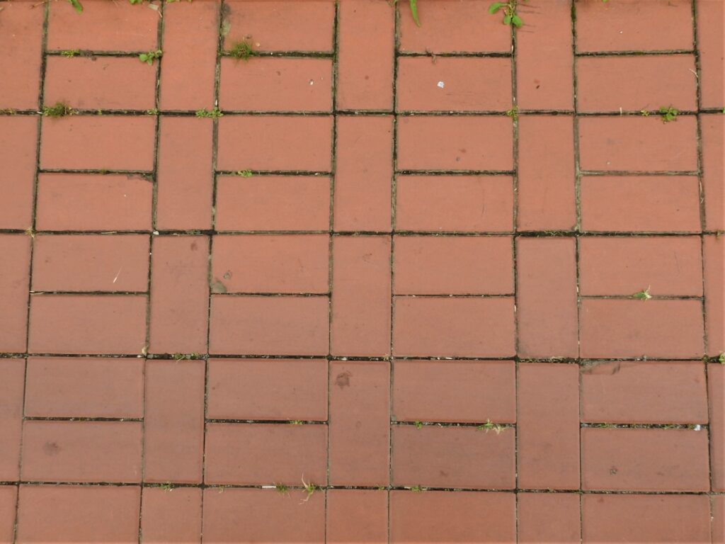 ハーフバスケット