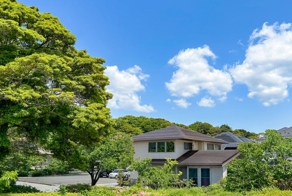 地植えの水やりが不要と言われる理由