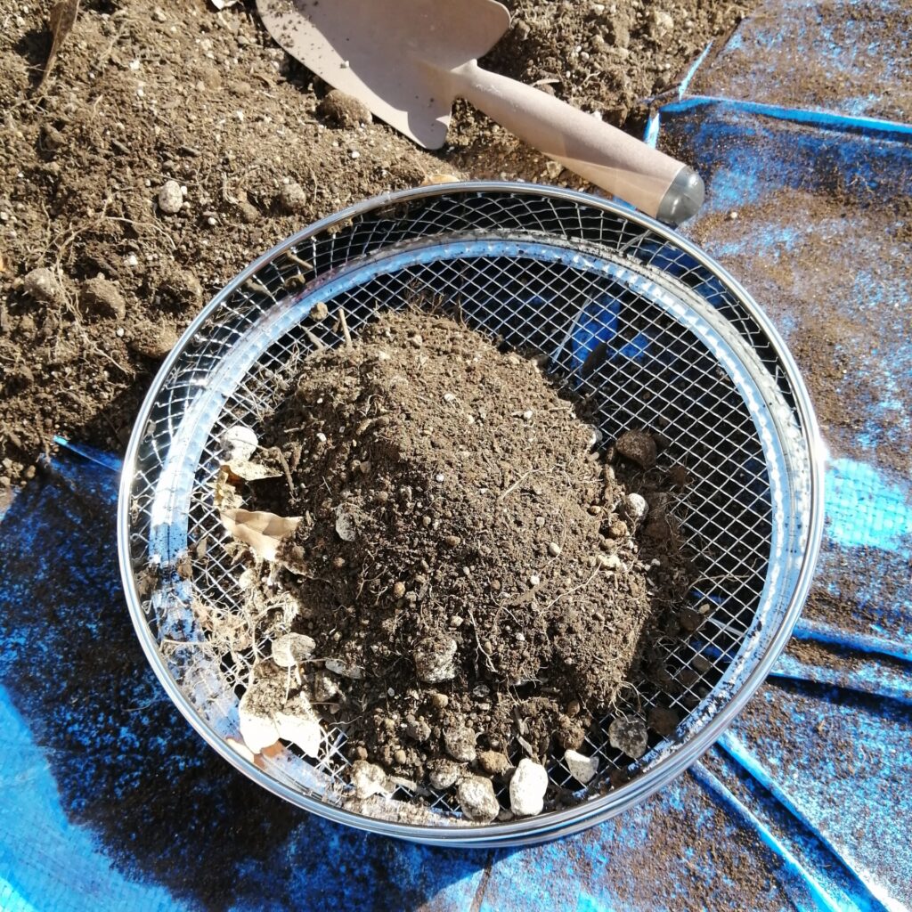 土と植物の除去