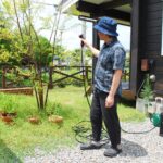 庭木の水やりの頻度はどれくらい？季節ごとの基本とコツを徹底解説