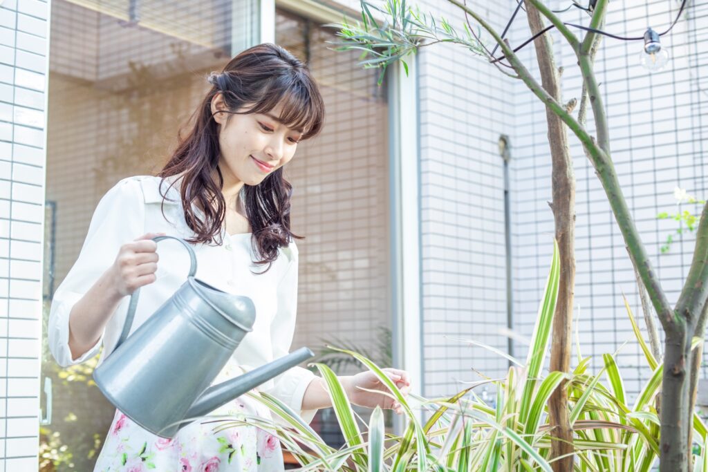 水やりに最適な時間帯とは？