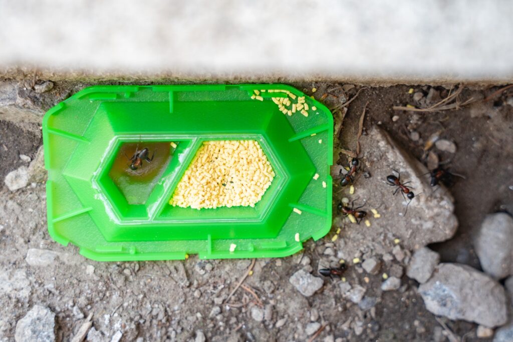 毒餌(ベイト)タイプ:巣ごと退治する最終兵器