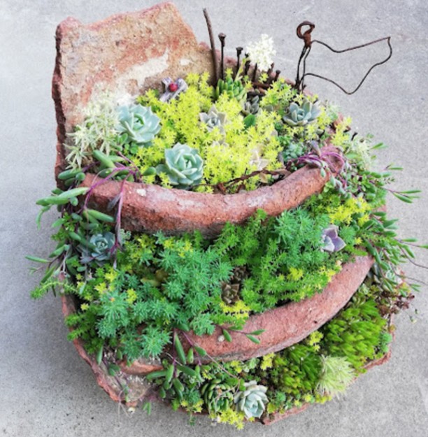 A. アートとして再利用する：「ブロークン・ポット・ガーデン」