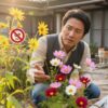 コスモスを庭に植えてはいけない？法律違反や毒性の誤解と本当の理由