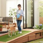 リビングから庭への踏み台！おしゃれな段差解消とDIYのコツを解説