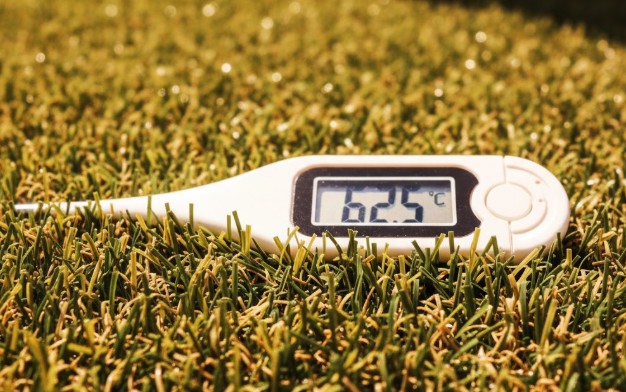 人工芝のリアルな質感と課題