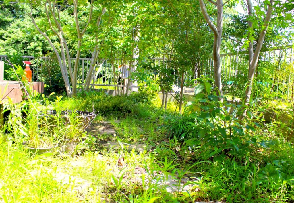 庭の手入れをしない人の末路と解決策！放置のリスクと庭じまい術