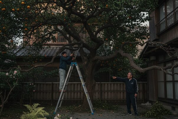 理由1：巨木化し手に負えなくなる