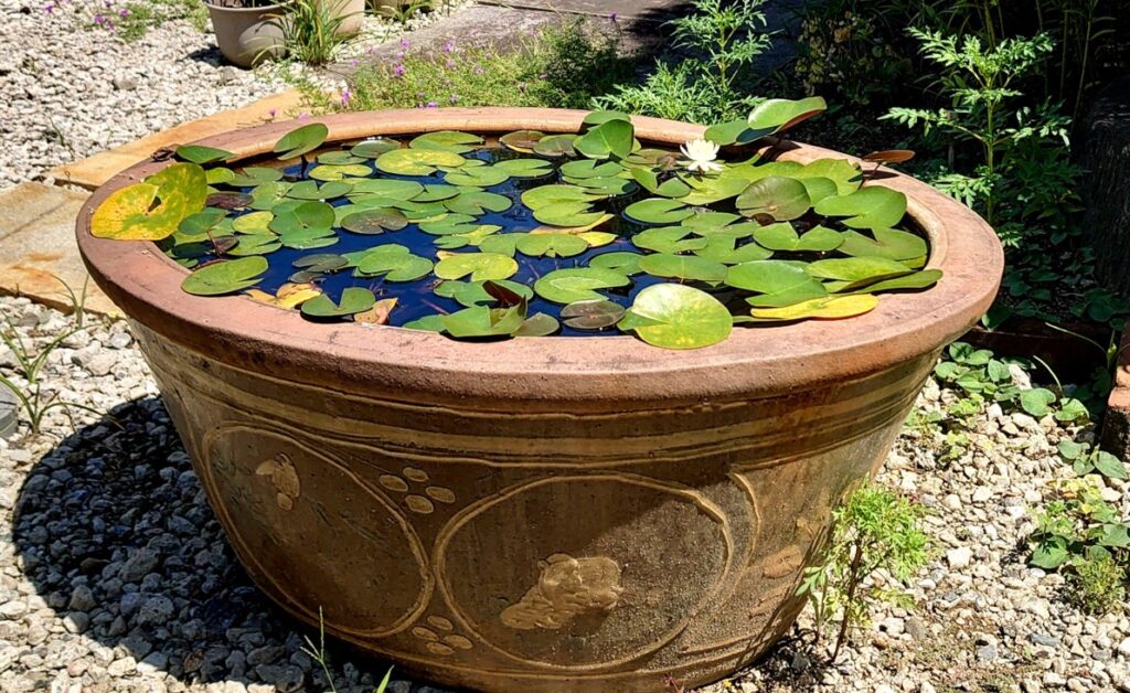 設置場所の選び方と日当たり