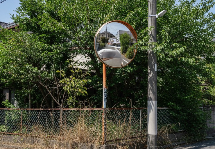 雑草が招く近所迷惑とトラブル