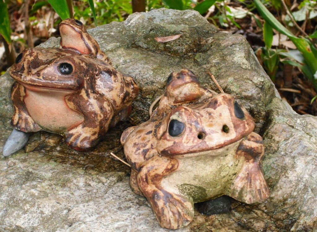 カエルが庭になぜいるのか 今回の調査報告のまとめ