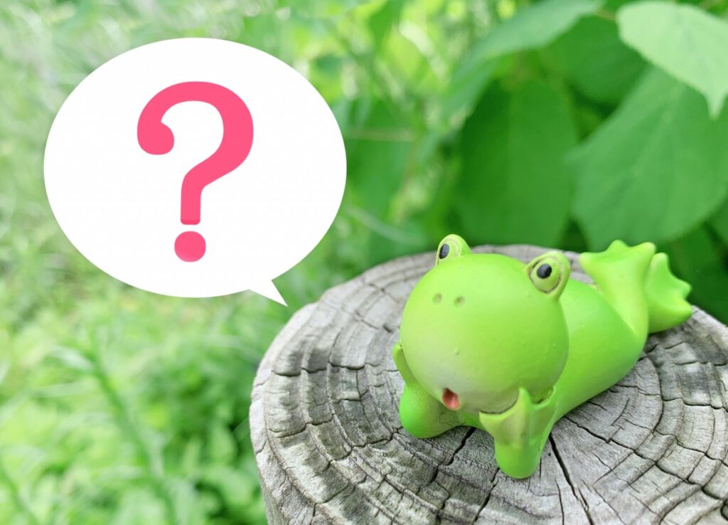 カエルが庭になぜ現れるのか その理由と侵入経路の秘密