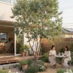 ユーカリを庭木にするデメリットとは？地植えで後悔しない選び方