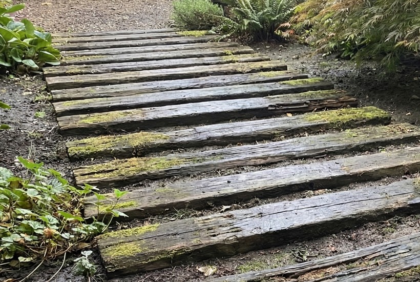 枕木や木製支柱は格好の餌になる