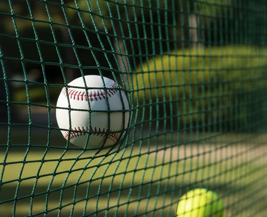 硬式対応の強度や軟式用ネットの耐久性をチェック