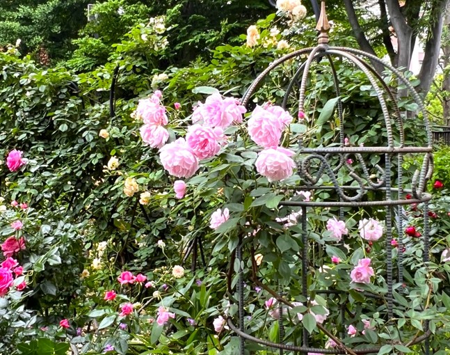 小さい庭に立体感を出すアーチやオベリスクの活用術