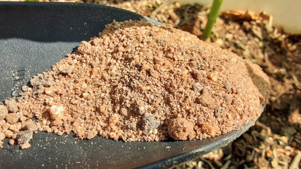 大輪の花を咲かせるために必要な肥料の種類と量
