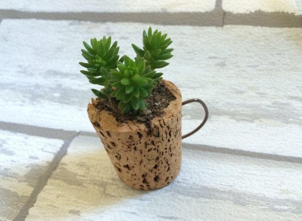 自分だけのマイクロプランターを作る手順