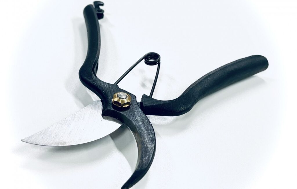 最初に揃えるべき盆栽初心者向けの必須道具