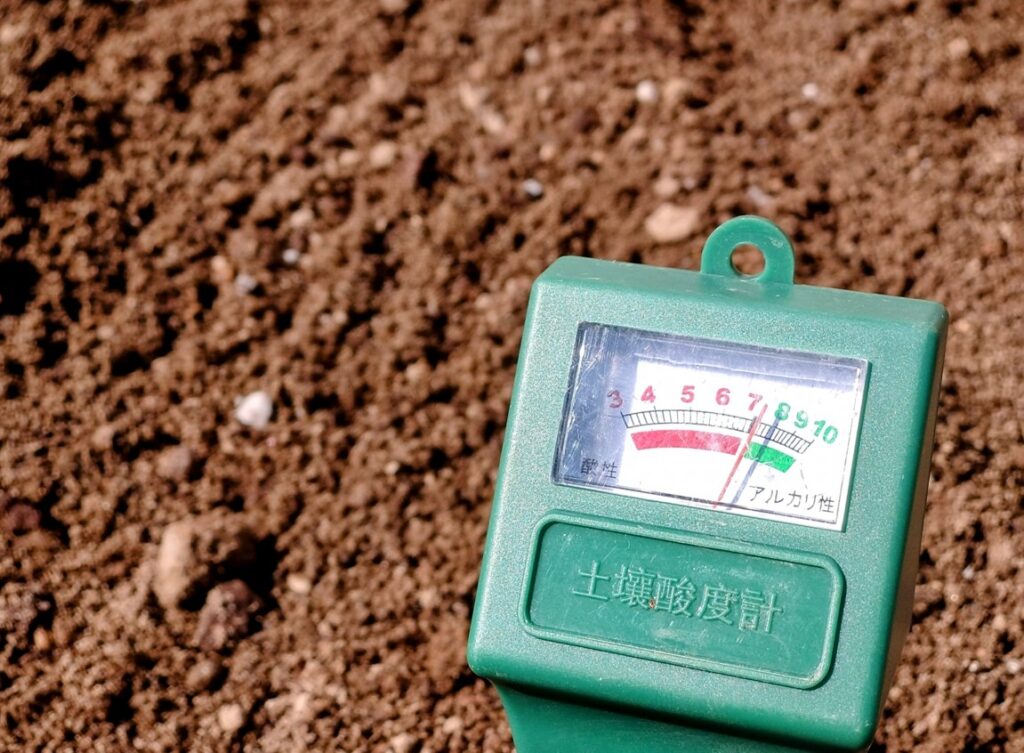 土壌pHの急変が植物に与えるストレスと注意点