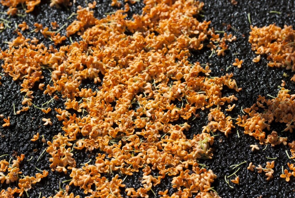 散った後の掃除が大変な花びらによる地面の汚損問題