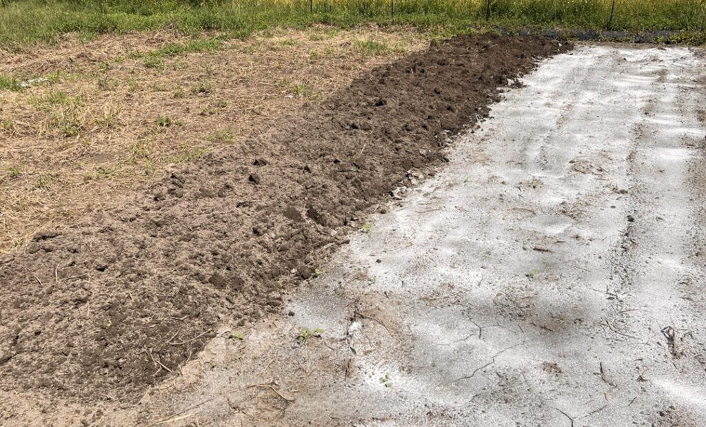 庭の湿気対策に消石灰は有効なの？土壌改良の仕組みと最適な代替案