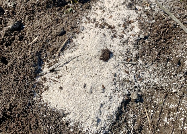 庭の湿気対策として消石灰を正しく選ぶためのまとめ