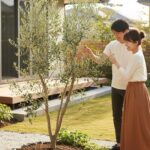 オリーブを庭木にするデメリットと後悔しないためのリスク管理術