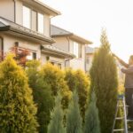 庭の目隠しにコニファーを！失敗しない品種選びと育て方のコツ