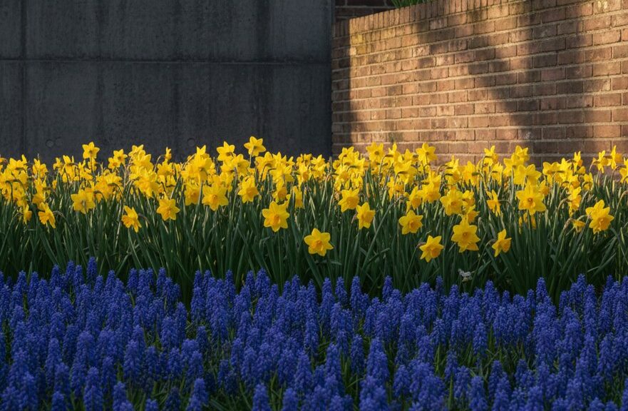 背景とのコントラストを意識してみよう