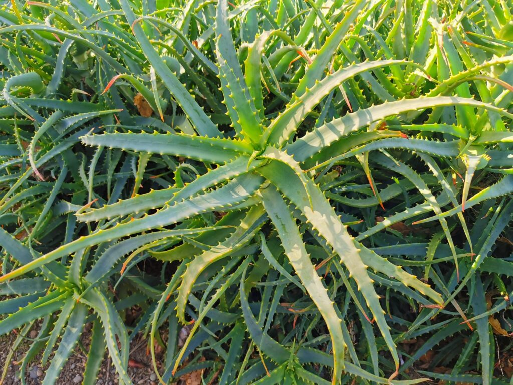 寒さ対策と置き場所