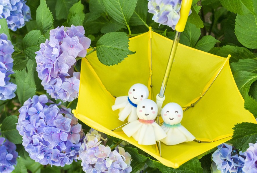 あじさいを庭に植えてはいけない？言い伝えの正体と安心できる管理術