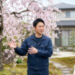 しだれ桜を庭に植えてはいけない？失敗を防ぐ品種選びと管理のコツ