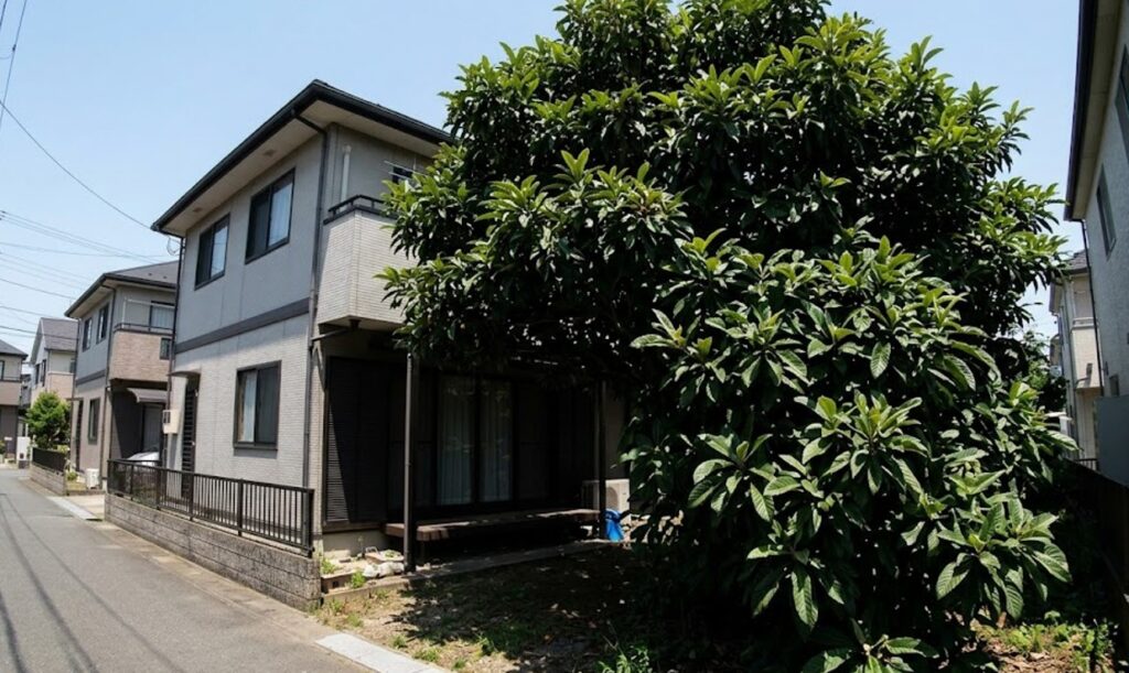 地植えで後悔する原因となる樹木の巨大化と日照