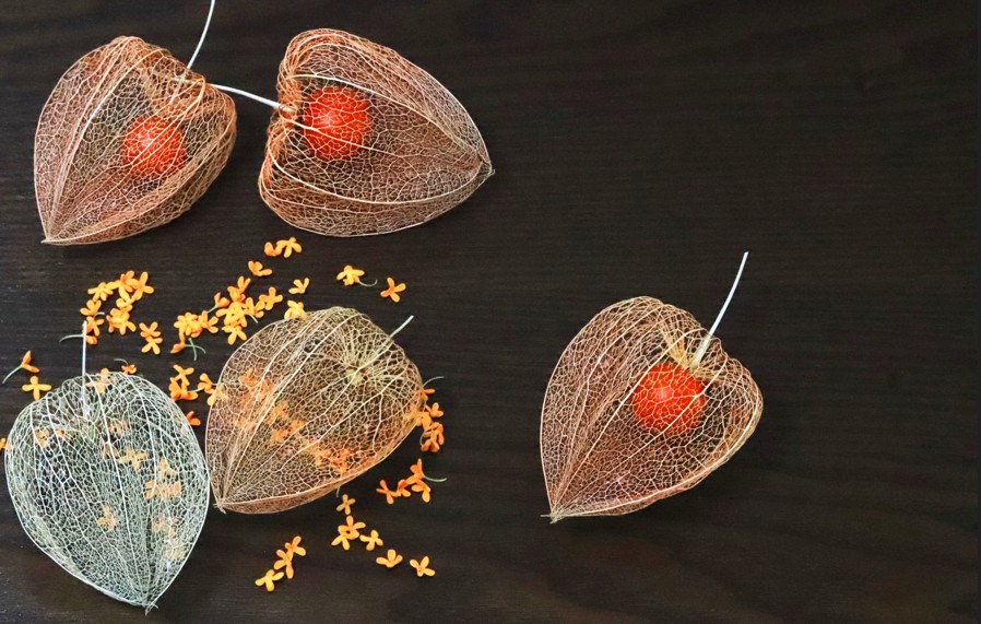 玄関の魔除けや風水に関わる配置の禁忌