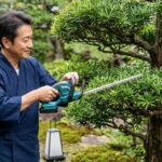 まきの木の剪定バリカン活用術！時期やコツ、おすすめ道具を徹底紹介