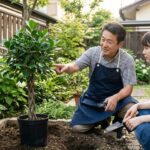 ガジュマルを庭に植える際の注意点！失敗しない育て方と冬越しのコツ