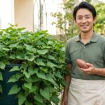 サツマイモのプランターの深さ完全ガイド！失敗しない選び方と育て方