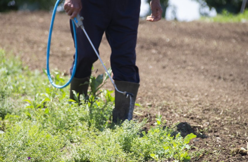 ラウンドアップと比較したマルガリーダの経済性と効果