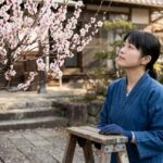 梅の木を庭に植えてはいけない？後悔しないための対策と管理術を解説