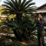 ソテツを庭に植えてはいけない理由は？風水や費用、安全性を徹底解説