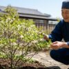 ドウダンツツジを庭に植えてはいけない？後悔しないための徹底栽培ガイド