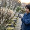 ネコヤナギを庭に植えてはいけない？根や剪定のリスクと鉢植え管理術