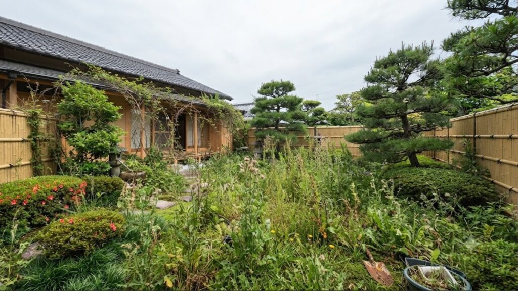 賃貸の庭が草ボーボーで困ったときどうする?管理責任や手入れの解決策